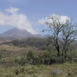 Kilimanjaro - Day 2